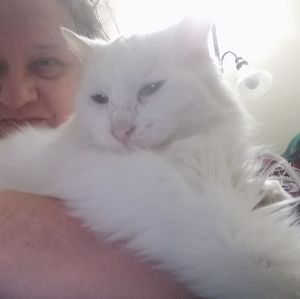 Meet your Posher, Carol